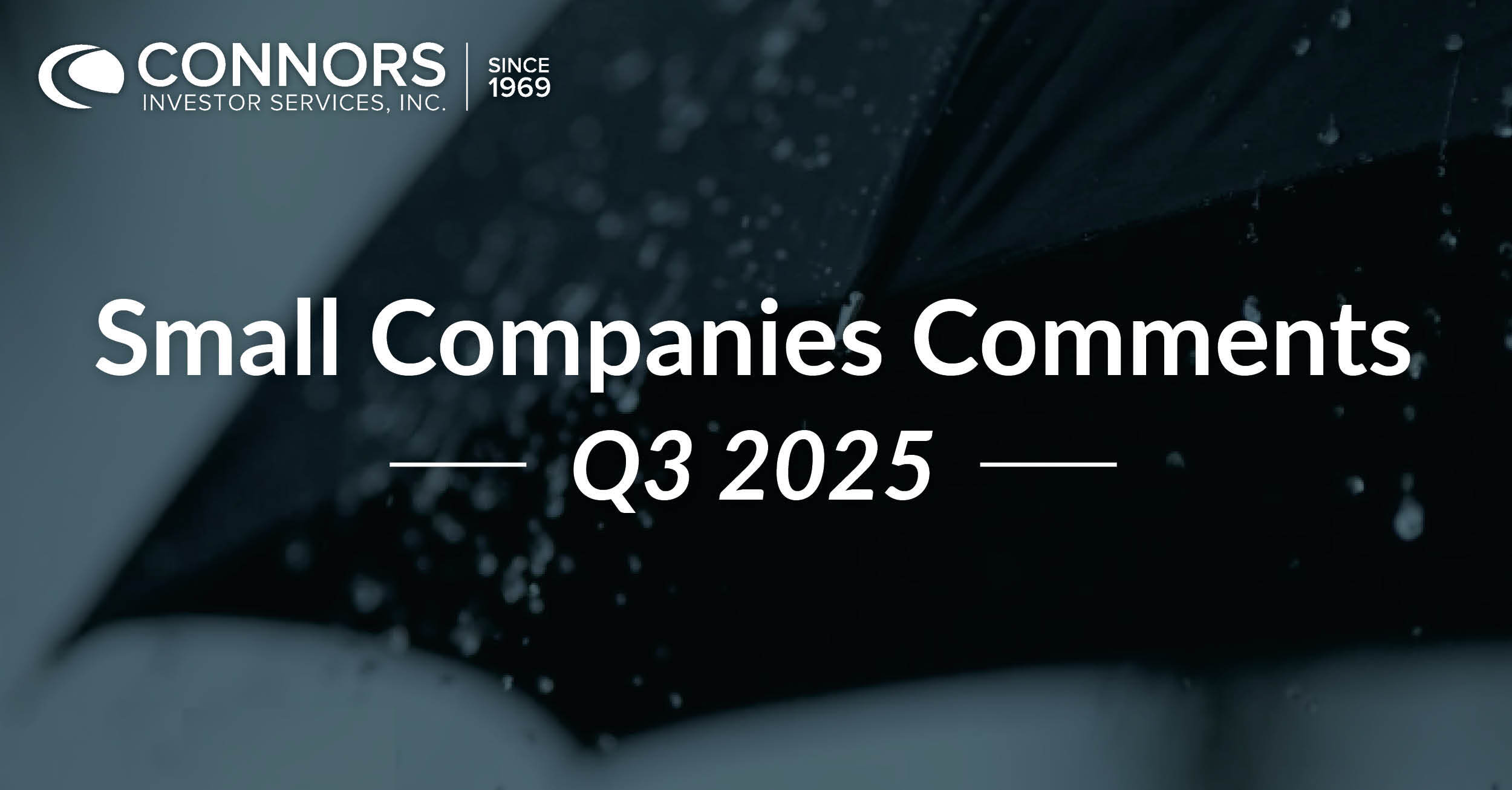 2025 Q3 Small Companies Commentary