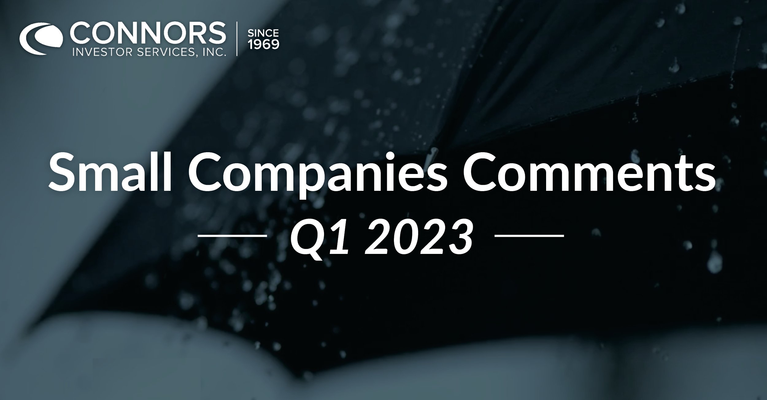 Q1 2023 Small Companies Comments