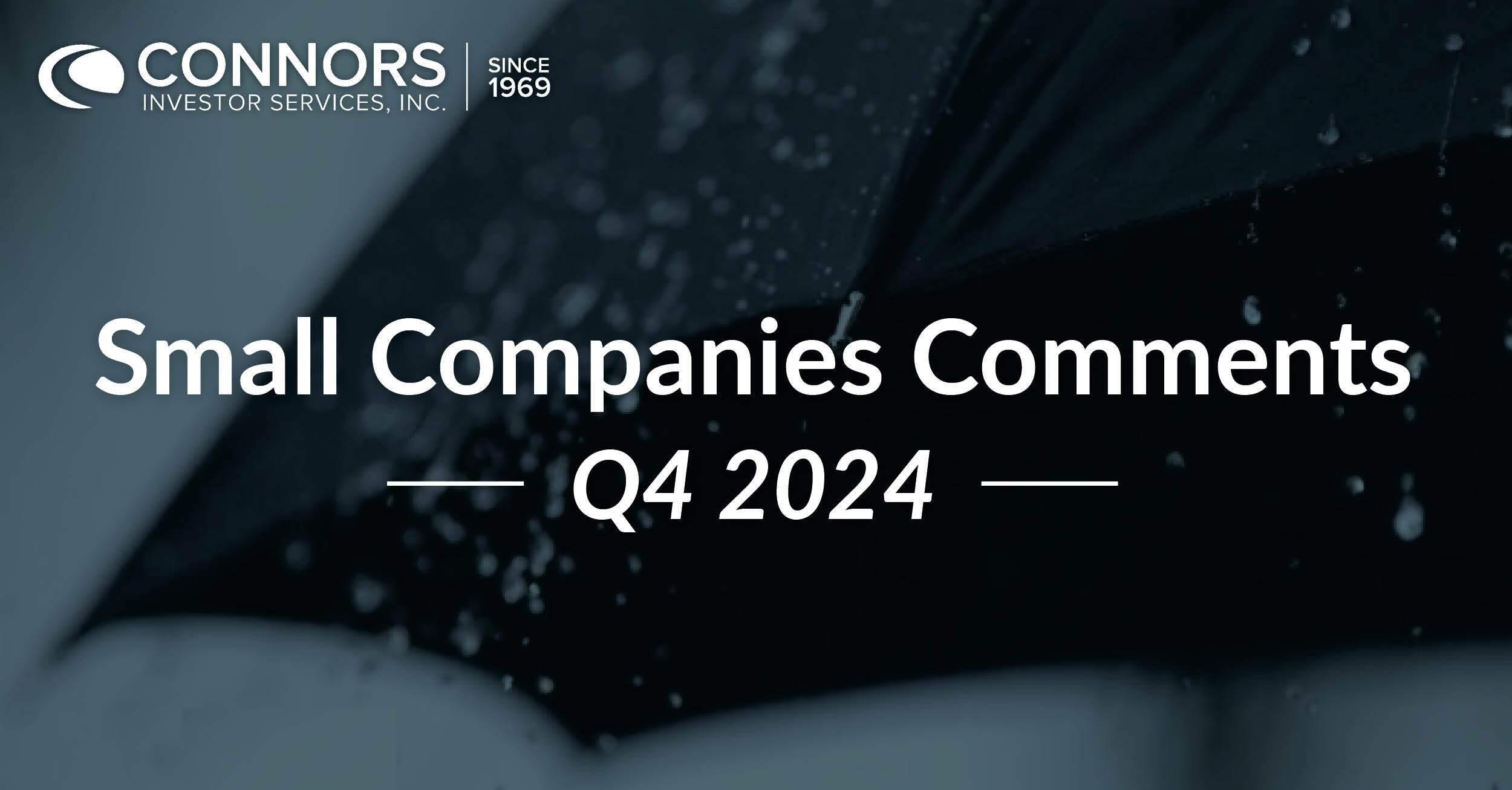 2024 Q4 Small Companies Commentary