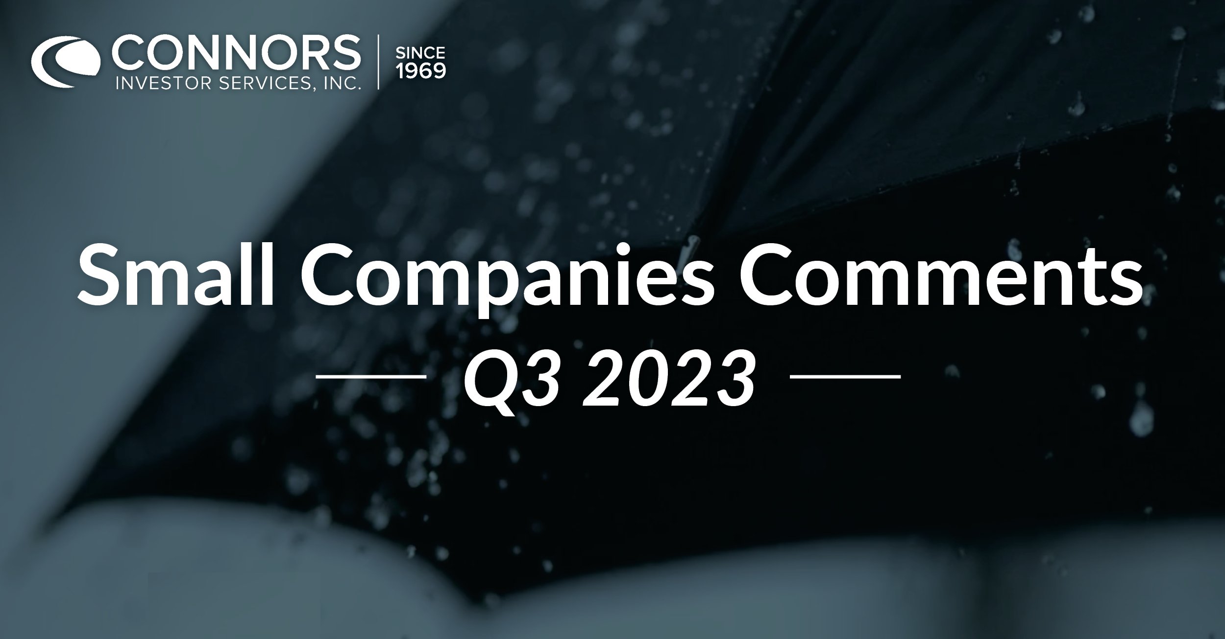 Q3 2023 Small Companies Comments