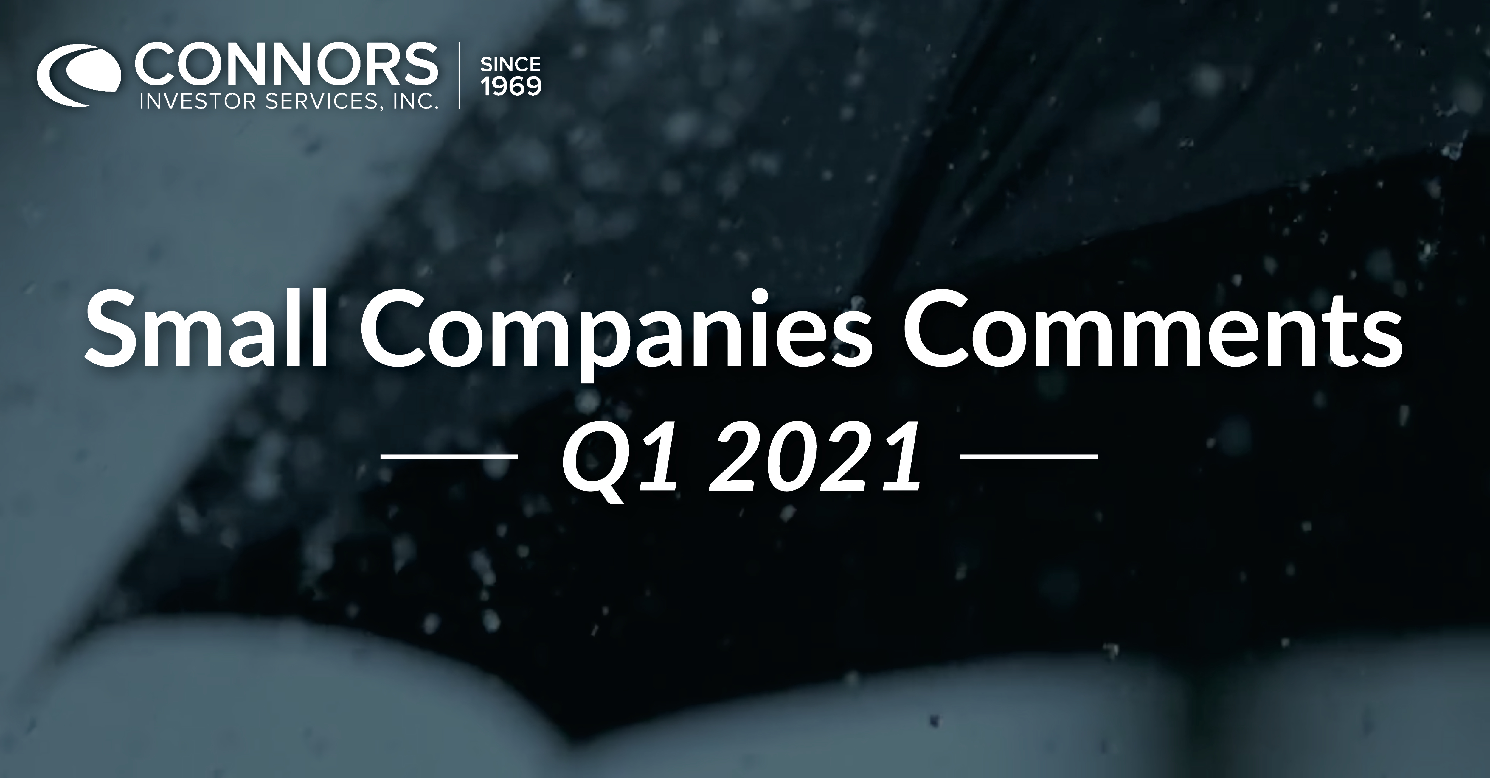 Q1 2021 Small Companies Comments